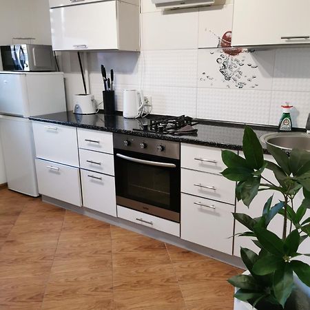 Studio Apartment In The Center Shostka Eksteriør billede